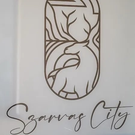 Szarvas City Apartman